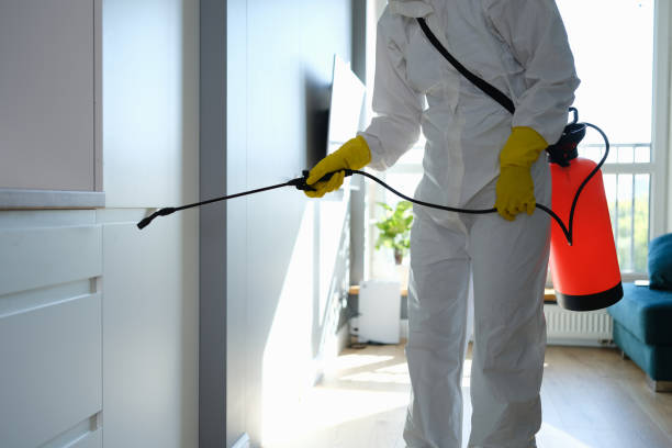 Best Comprehensive Air Testing for Mold Contaminants  in Edgemere, MD